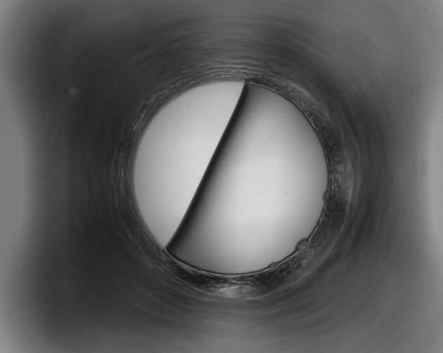 X0000098160504200804171221