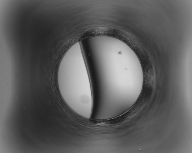 X0000098160505200804171221