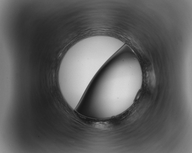 X0000098160508200804171221