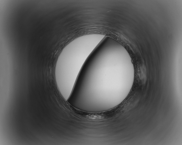 X0000098160512200804171220