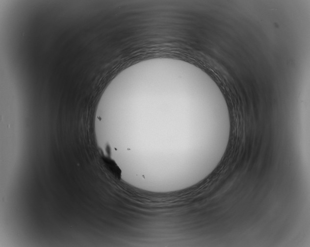 X0000098160514200804171220