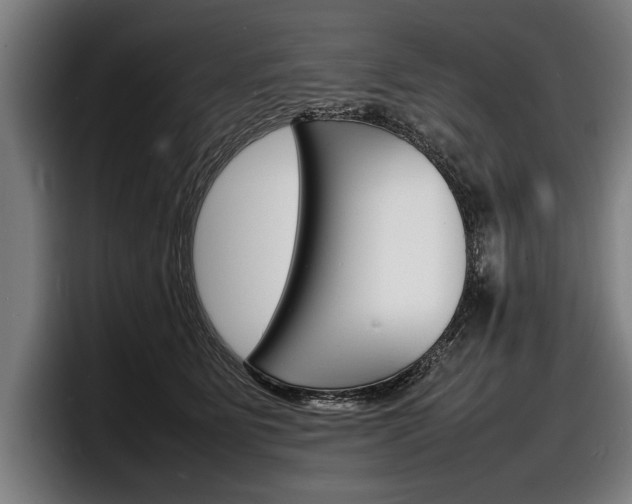 X0000098160515200804171220