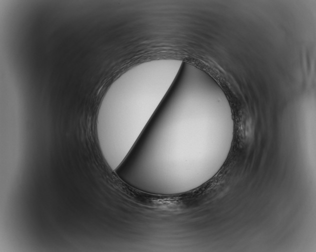 X0000098160516200804171220