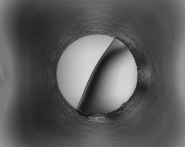 X0000098160517200804171220