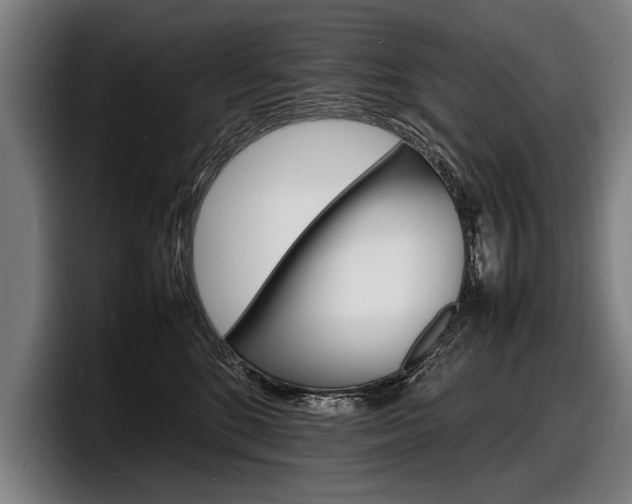 X0000098160520200804171220
