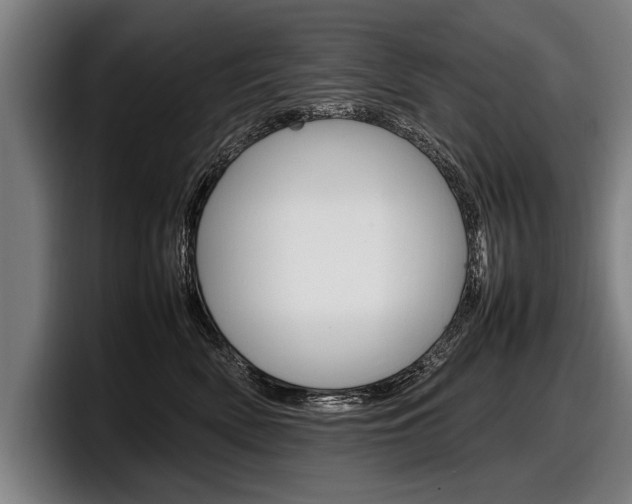 X0000098160522200804171220