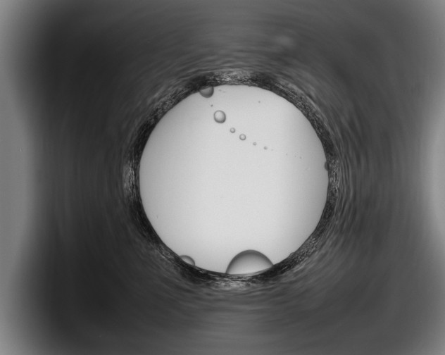X0000098160523200804171220