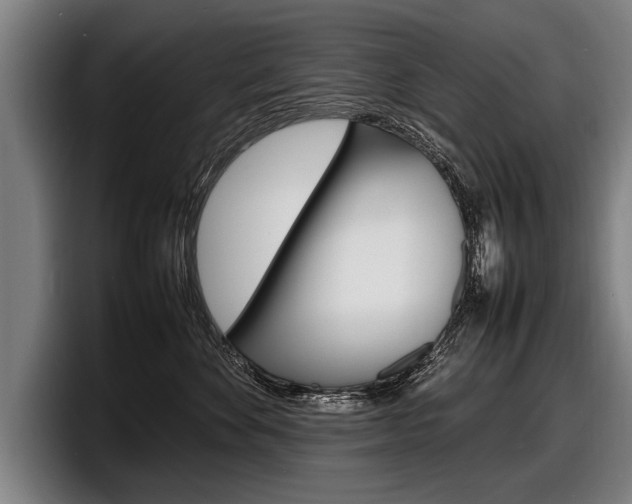X0000098160524200804171220