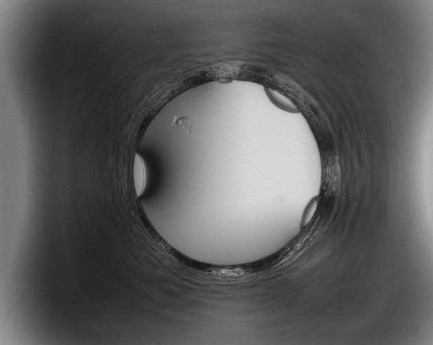 X0000098160525200804171220