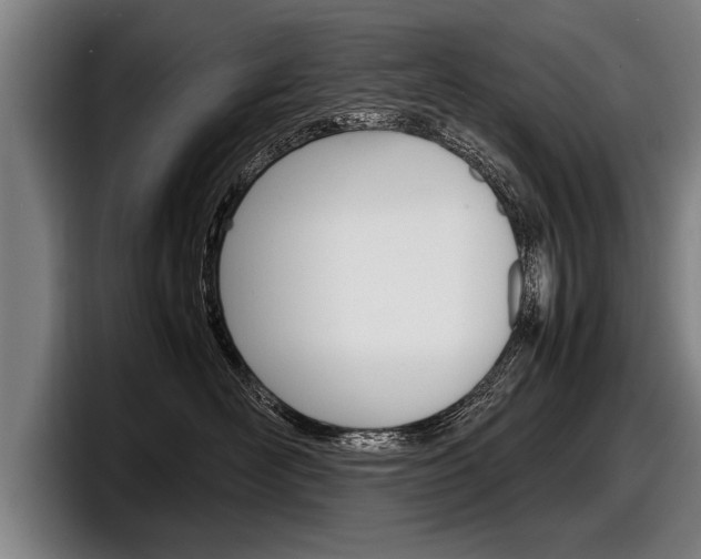 X0000098160526200804171220