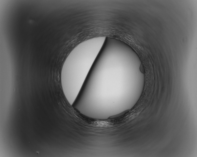 X0000098160528200804171220