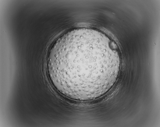 X0000098160529200804171220