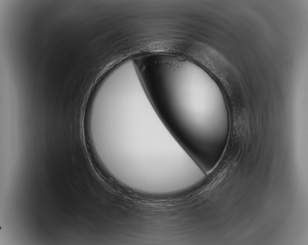 X0000098160530200804171220