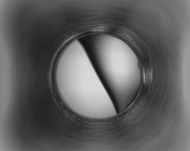 X0000098160531200804171220