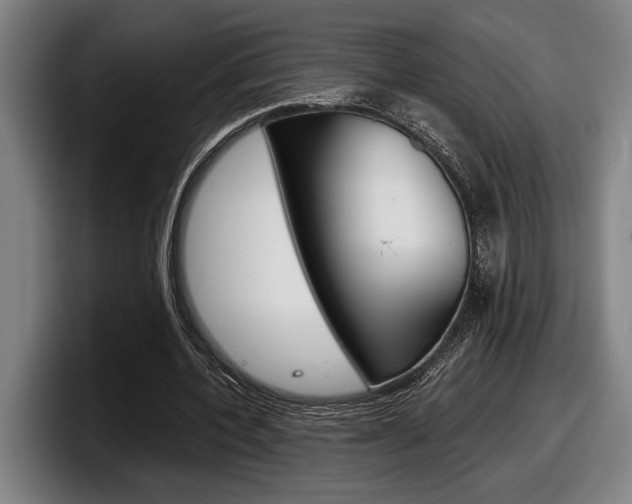 X0000098160532200804171220