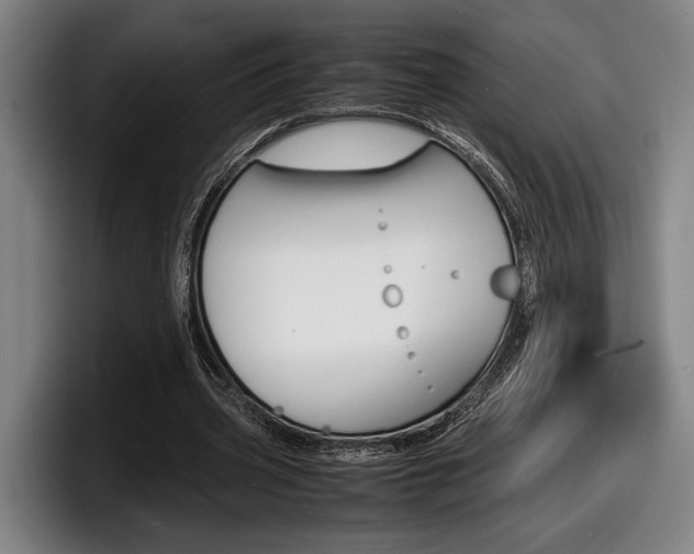 X0000098160533200804171220