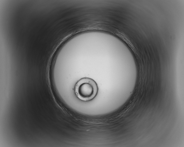 X0000098160534200804171220