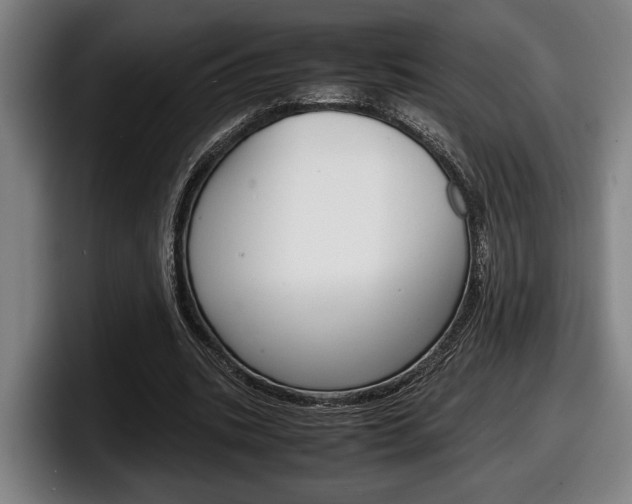 X0000098160535200804171220