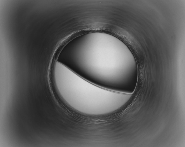X0000098160536200804171220