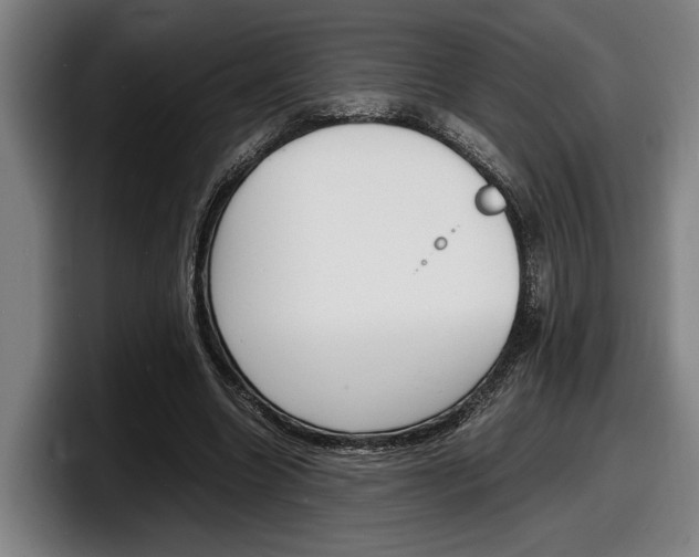 X0000098160538200804171220
