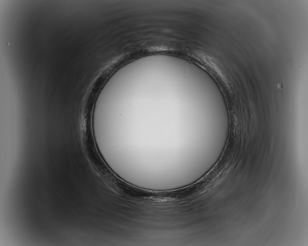 X0000098160539200804171220