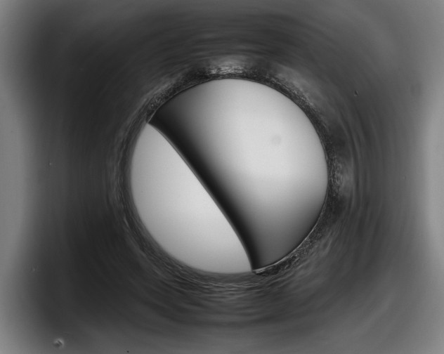 X0000098160543200804171220