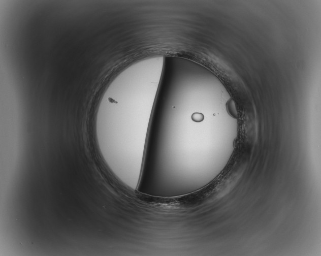X0000098160548200804171220