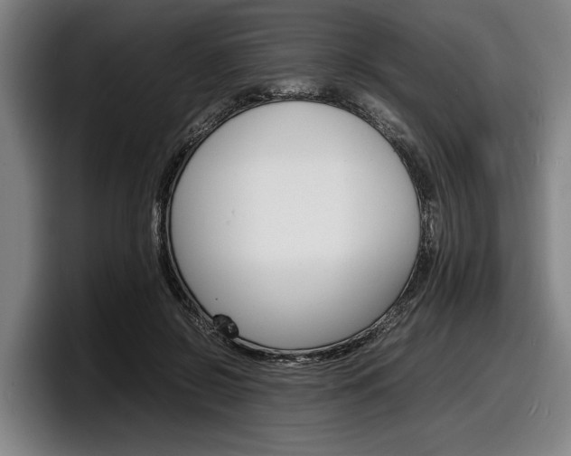 X0000098160550200804171220