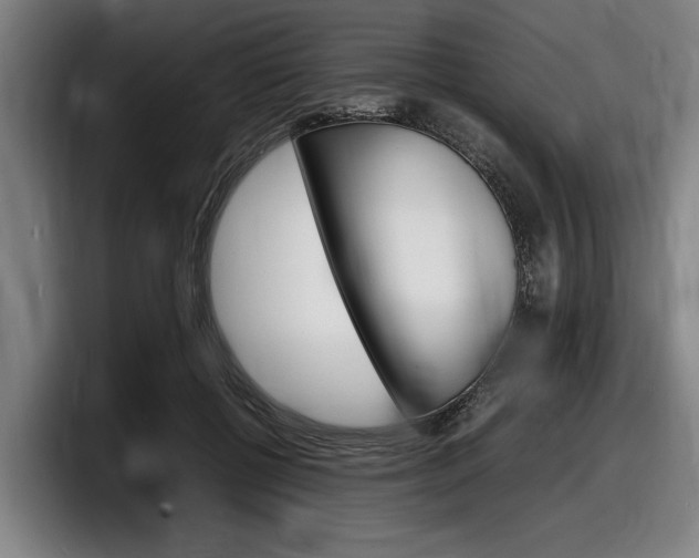 X0000098160552200804171220