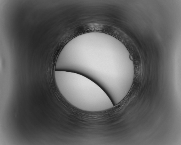 X0000098160553200804171220