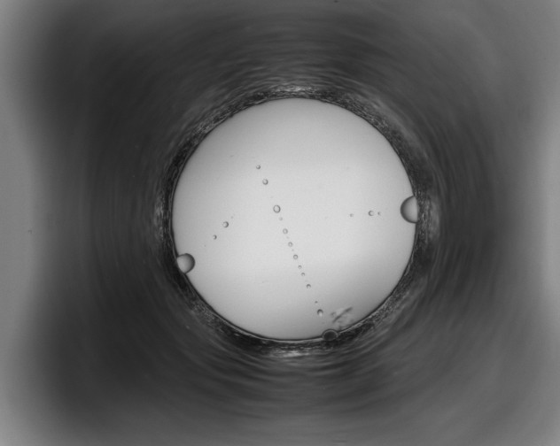 X0000098160557200804171220