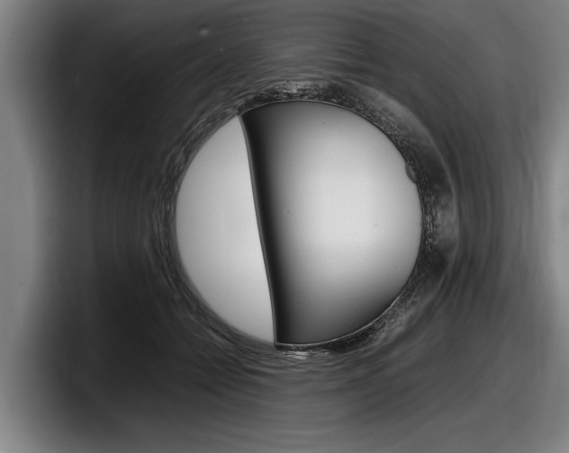 X0000098160558200804171220