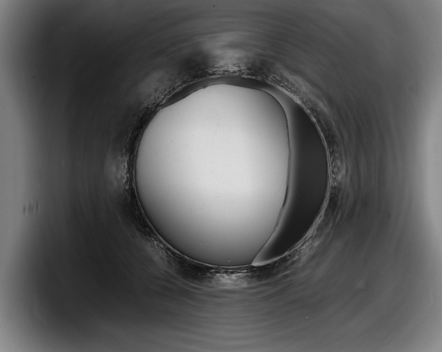 X0000098160560200804171220