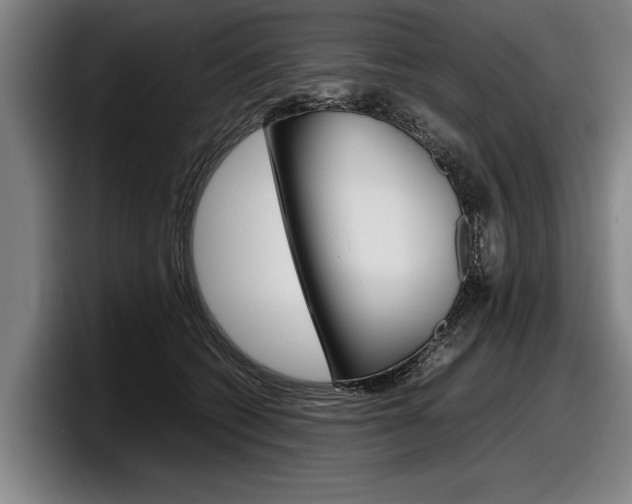 X0000098160562200804171220