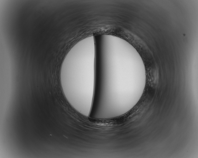 X0000098160563200804171220