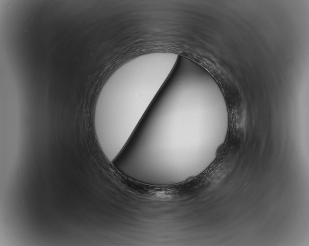 X0000098160564200804171220