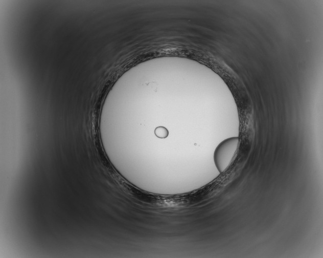 X0000098160565200804171220