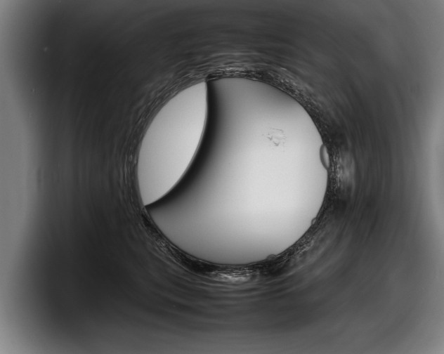 X0000098160567200804171220