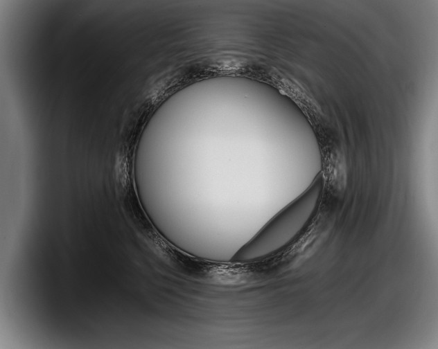 X0000098160568200804171220