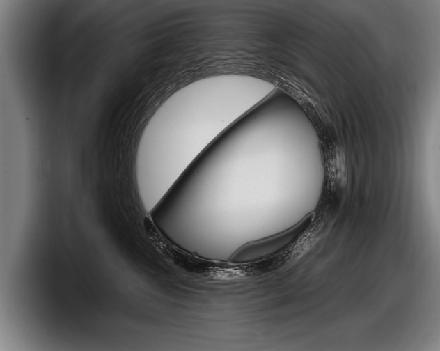X0000098160572200804171220