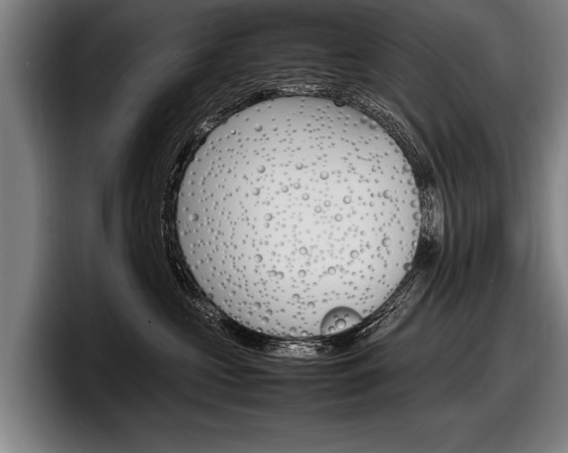 X0000098160573200804171220