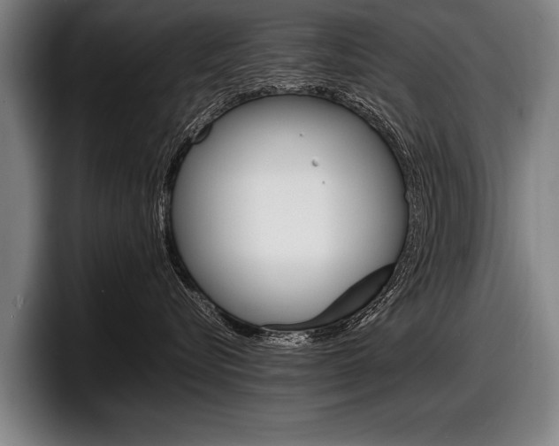 X0000098160576200804171220
