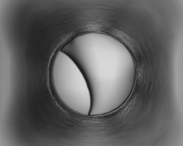 X0000098160578200804171219