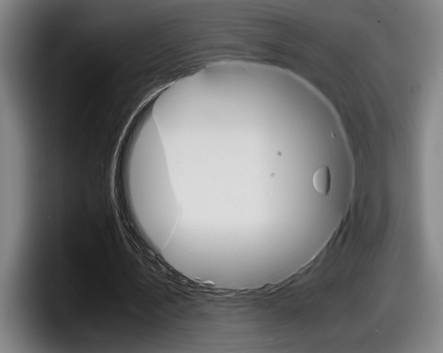 X0000098160579200804171219