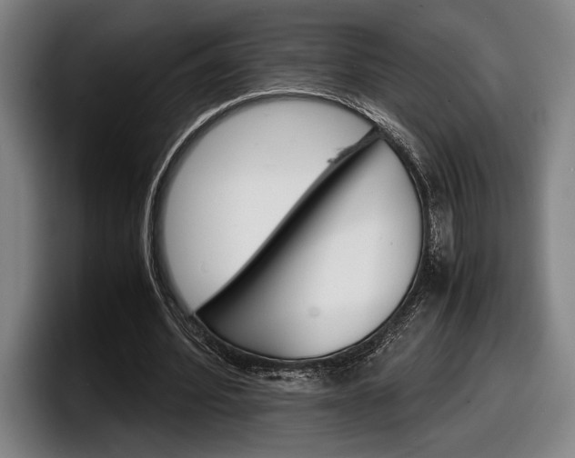 X0000098160580200804171219