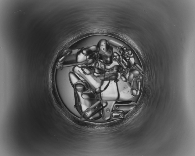 X0000098160581200804171219