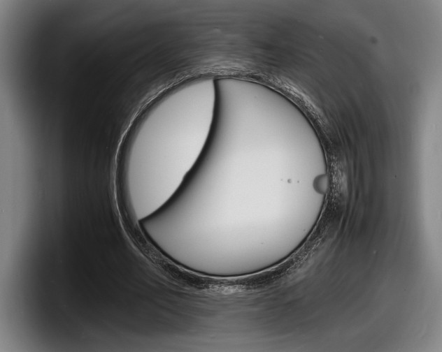 X0000098160582200804171219