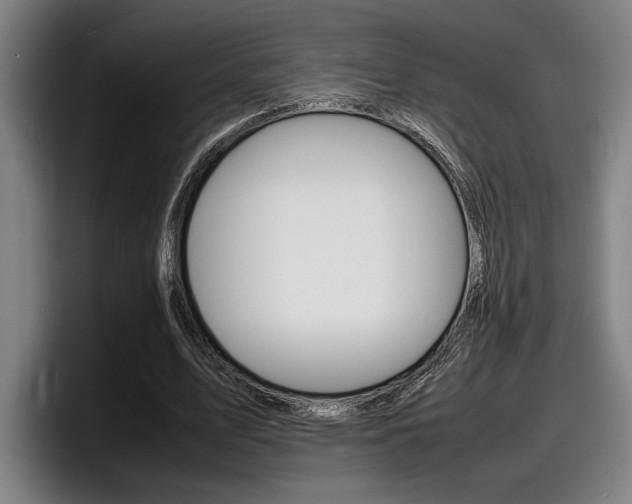 X0000098160583200804171219