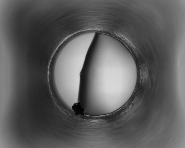 X0000098160584200804171219