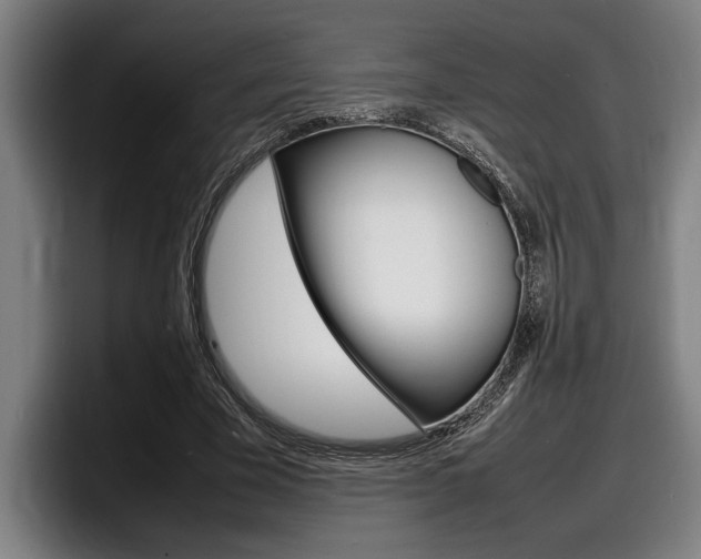X0000098160585200804171219